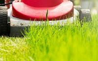 Affordable Lawn Care Services image 5
